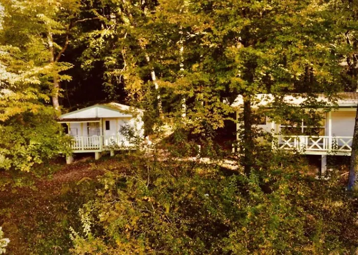 Chalet Spacieux Avec Terrasse - 8 Pers. - Api-1-52-1591 * サン・ジロン